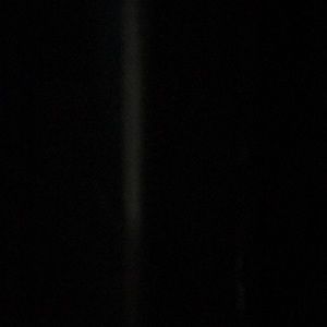 Meet your Posher, Chloe